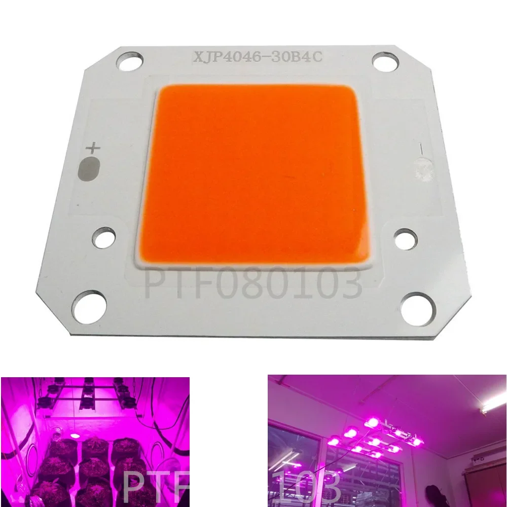 DC12V 50W COB LED Full spectrum 400-840nm High Powe Grow Light for hydroponics