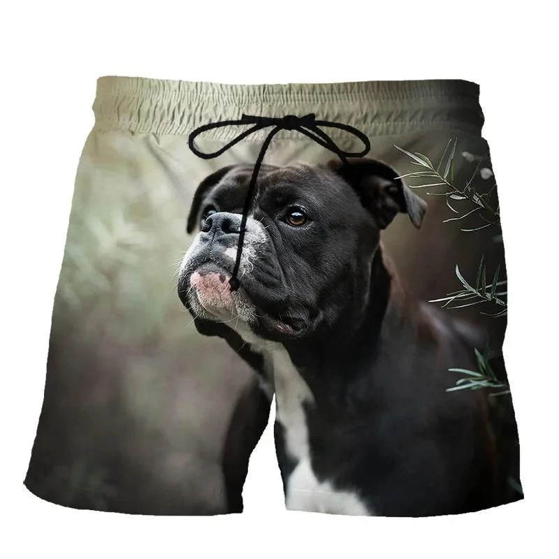 Sheepdog 3D Print Shorts Men Women Kid Fashion Dog Leisure Oversize Short Pants Summer Cool Mens Swim Short Sport Beach Shorts