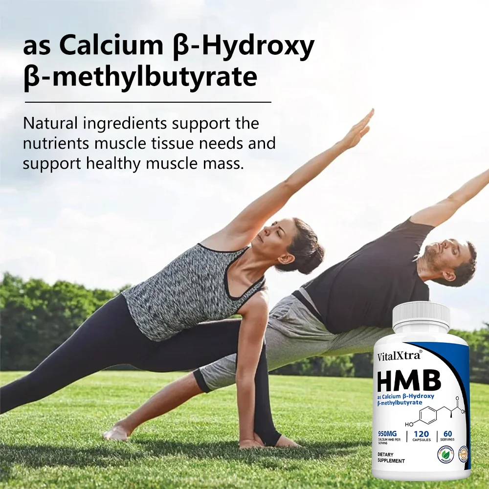 Highly Absorbable HMB Supplement – ​​Supports Muscle and Movement, Enhances Strength, and Reduces Skeletal Muscle Damage