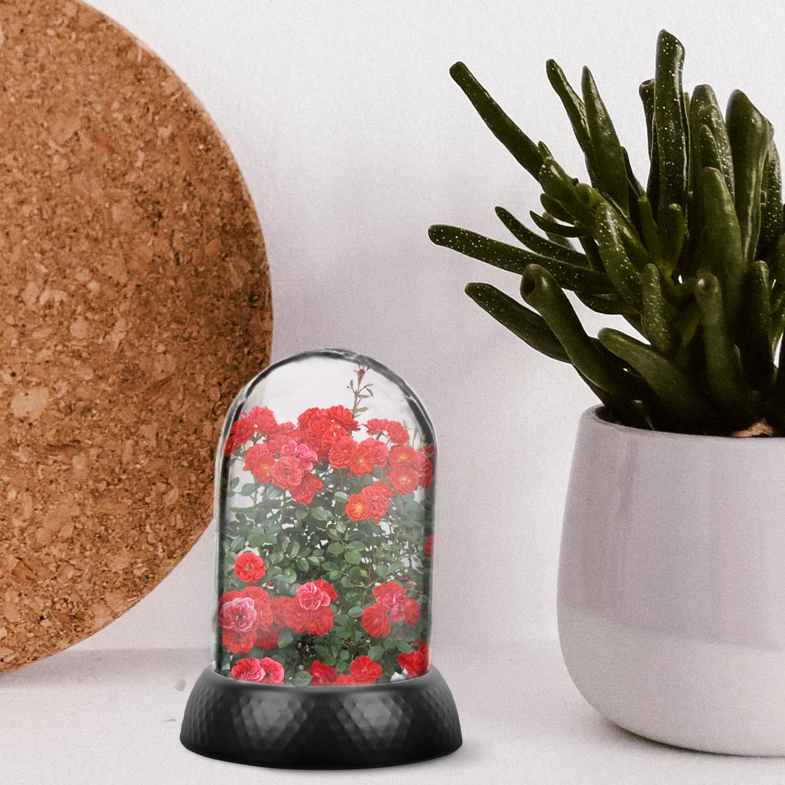 

10pcs Glass Cover Decor Flat Bottom Stable Design For Micro Landscape Flower Display Portable Lightweight Desktop Decoration