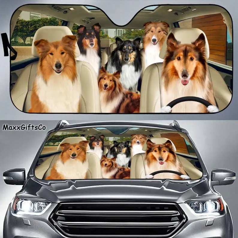 Rough Collie Car Sun Shade, Rough Collie Windshield, Dogs Family Sunshade, Dog Car Accessories, Car Decoration, Gift For Dad, Mo