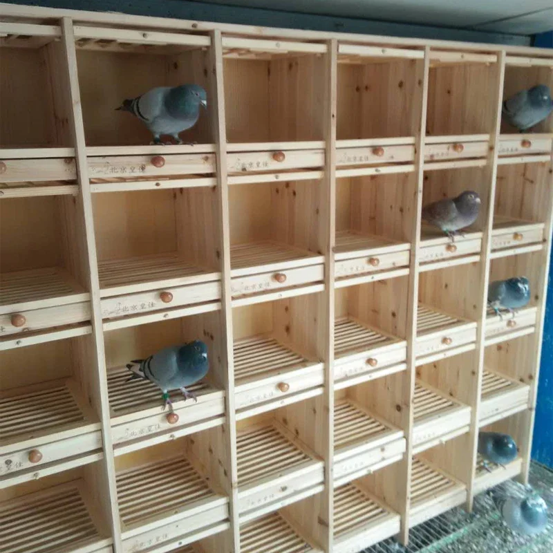 Jaula para palomas, caja nido para palomas de carreras, jaula portadora a juego para palomas, jaula a juego, caja nido, caja de cría