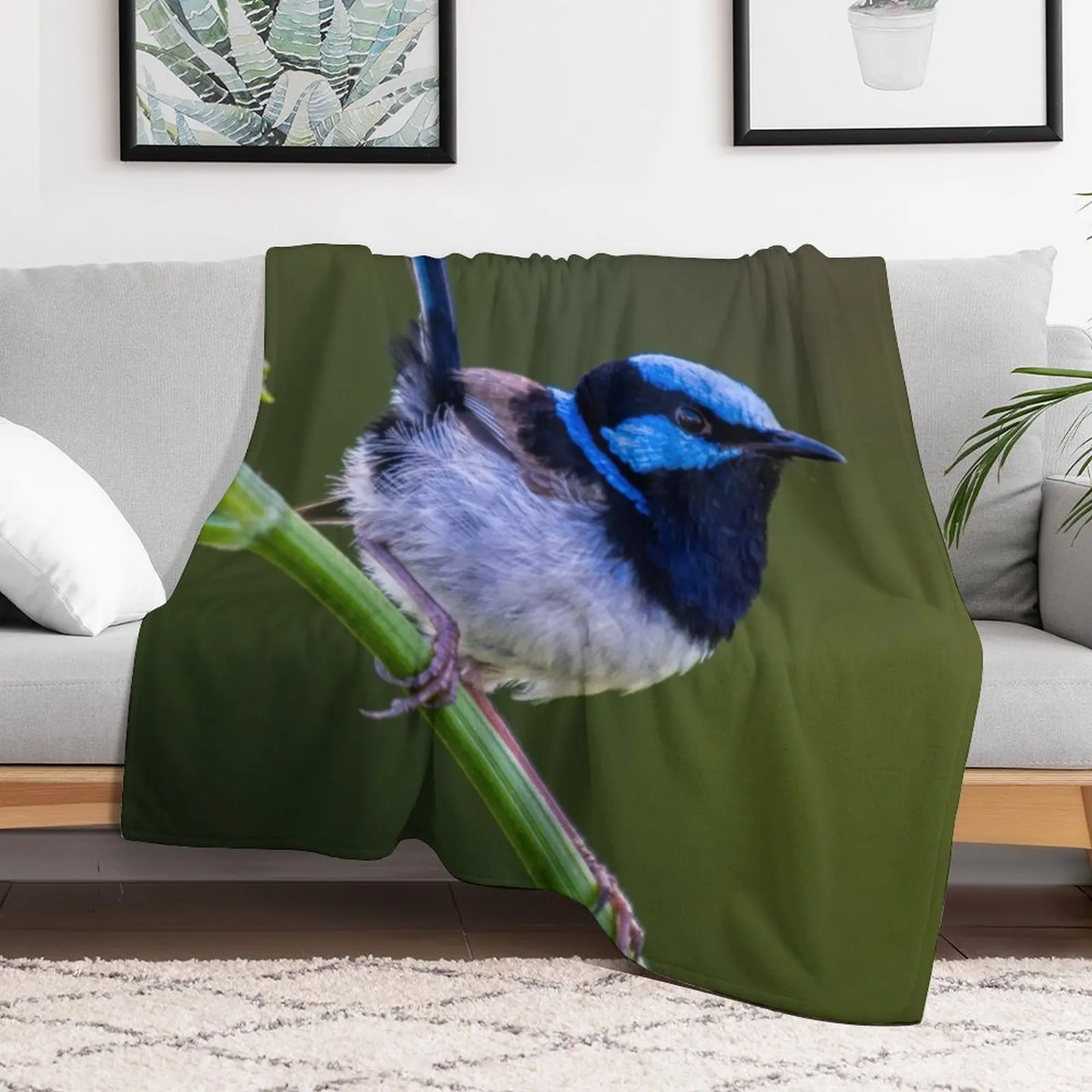 Australian Superb Fairy-Wren Throw Blanket Soft Beds bed plaid valentine gift ideas Blankets