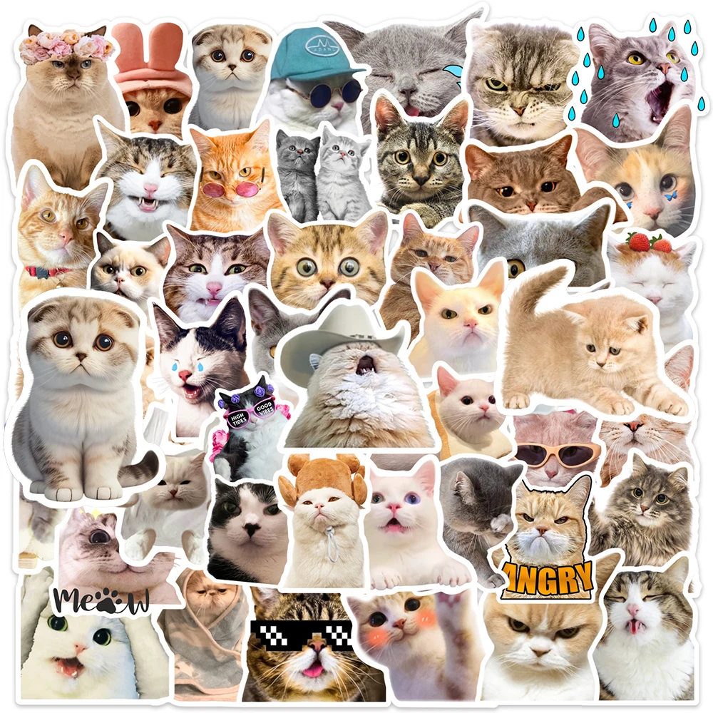 Phone Cases Wholesale - 10/30/50 шт. милых стикеров с мемами