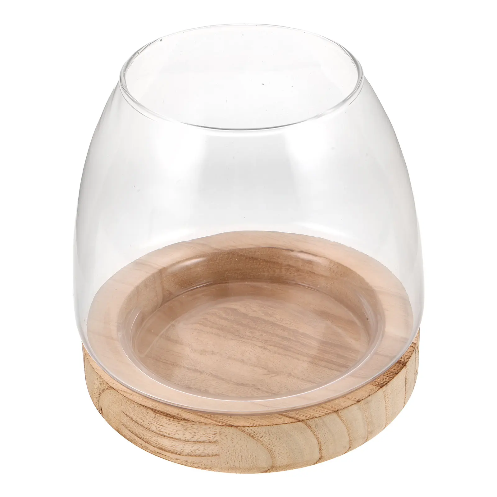 Small Hydroponic Planter with Wood Base and Clear Glass Vase for Water Propagation Station Indoor Gardening Tabletop Decor