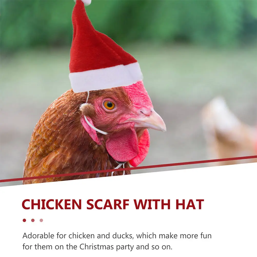 

2 Sets Christmas Pet Chicken Hat Scarf for Dogs Cute Funny Hats Pets Puppy Rabbit