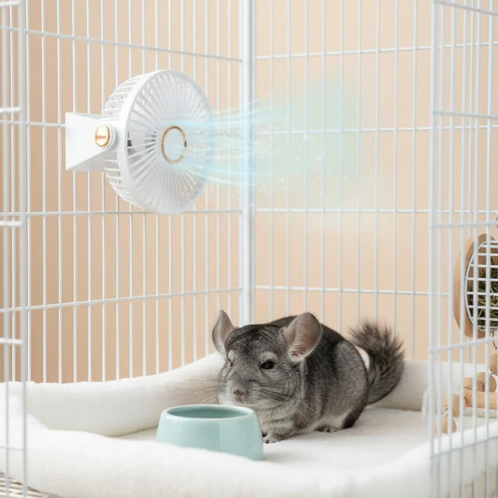 

Hanging Enclosure Fan Easy to Install Rabbit Enclosure Fan Portable LED Ambient Light for Chinchillas