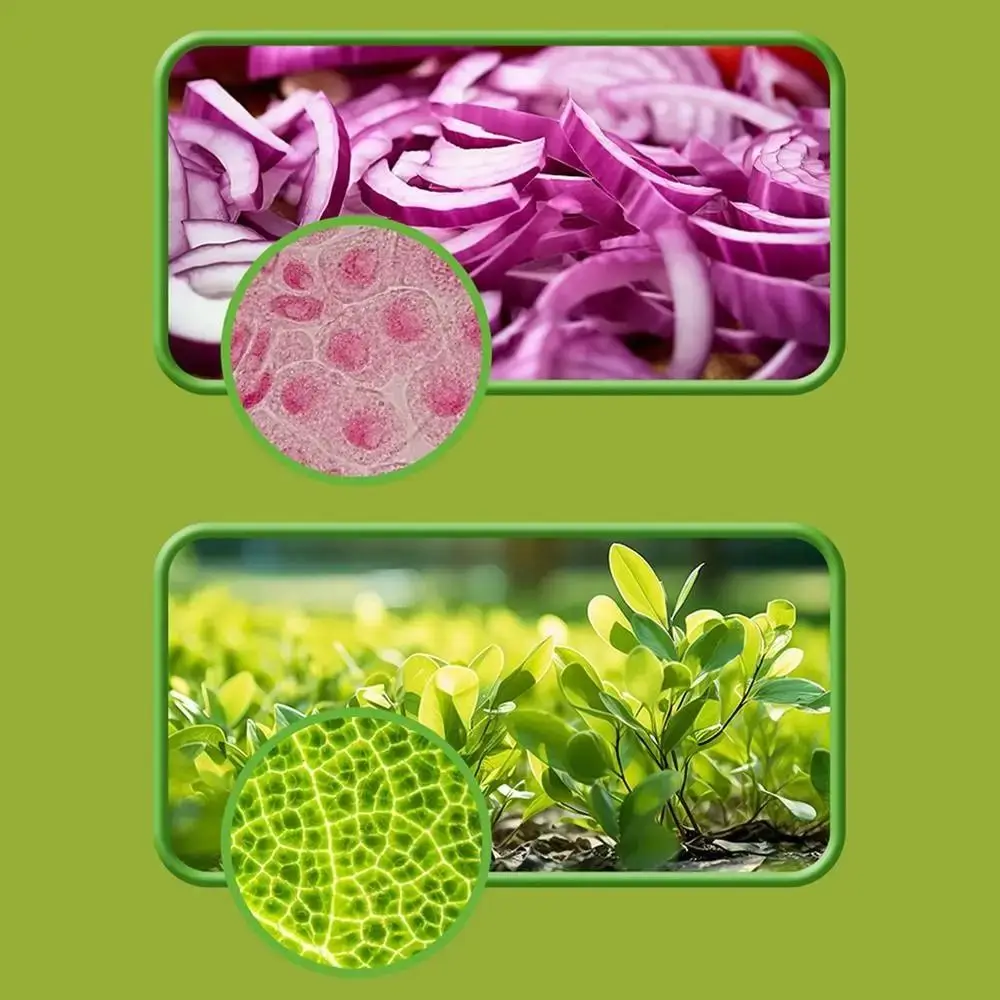 مجهر محمول باليد 60x-120x مع ضوء LED مجهر جيب للأطفال قابل للفصل قاعدة دوارة مع حزام للرسغ #3