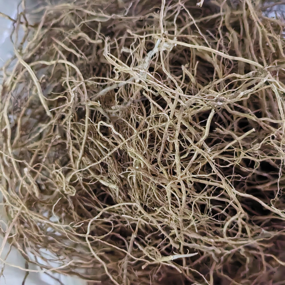 50 جرام VETIVER حزمة جذر عطرية عطر طبيعي بخور مجفف خام للمنزل #4