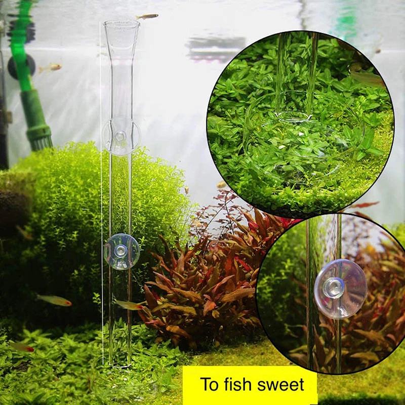 Glass Aquarium Feeder Tube Dish Transparent Fish Tank Shrimp Snail Food Feeding Bowl Accessories