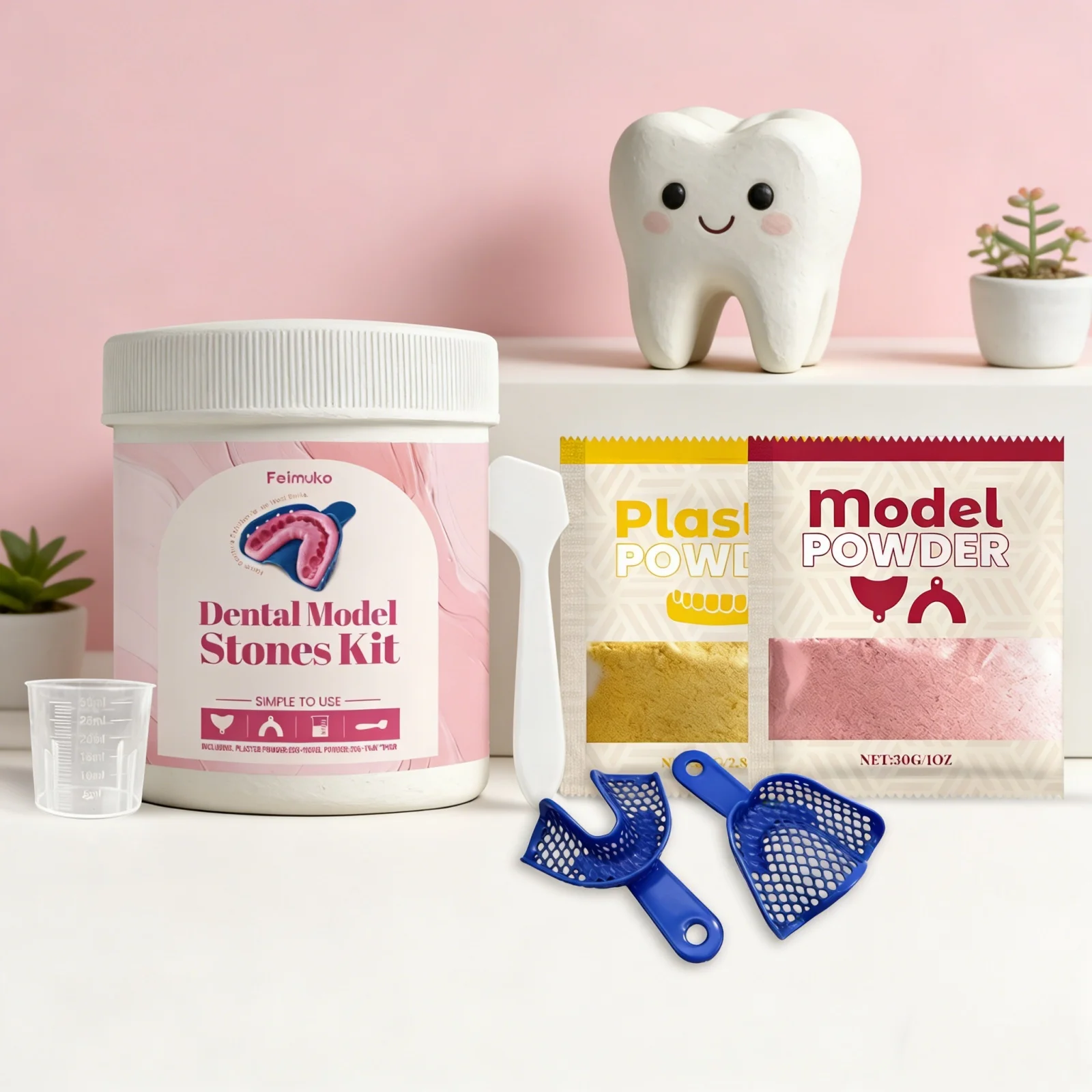 Home Plaster Teeth Model Set Fine Powder Texture Dental Training Tooth Lab Standard Casting Kit Oral Dental Teeth Mold DIY Set