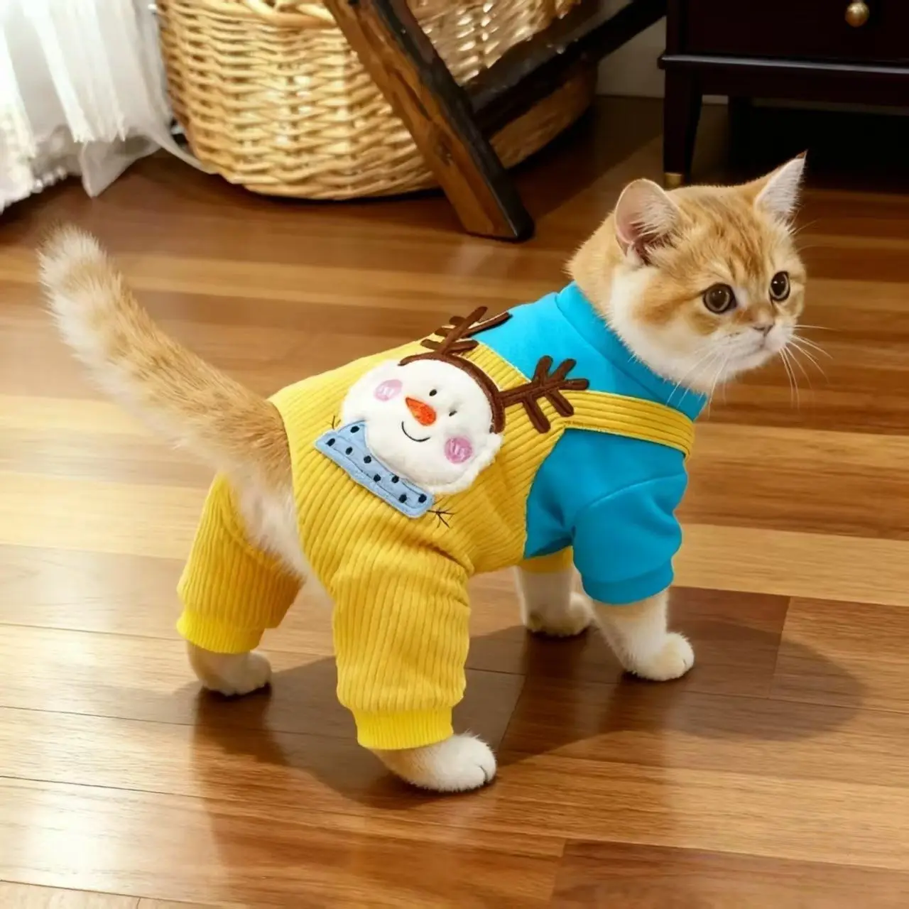 Cat Clothing For Wi…