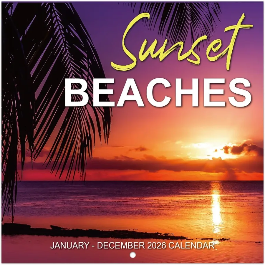 

Настенный календарь на 2026 ПЛЯЖКИ Подвесные настенные календари на 12 месяцев от января 2026 декабрь 2026 Открытый настенный календарь 12 x 24 дюйма с толстой папкой