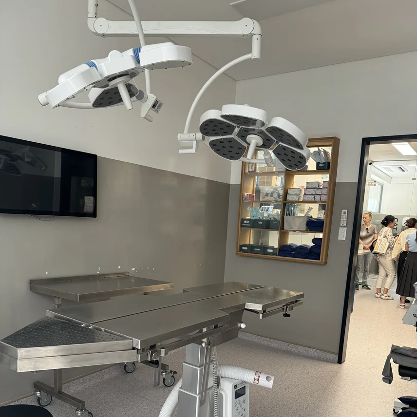 TX04-LED5 Vet Surgical Light Ceiling Mounting Operation Light Exam Lamp LED Surgery Shadowless Lamp