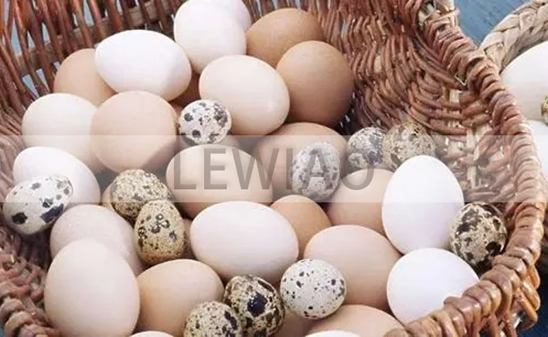 مقشرة البيض اليدوية المنزلية المحمولة اليد لفة مقشرة بيض السمان دليل مقشرة بيض السمان المقشر