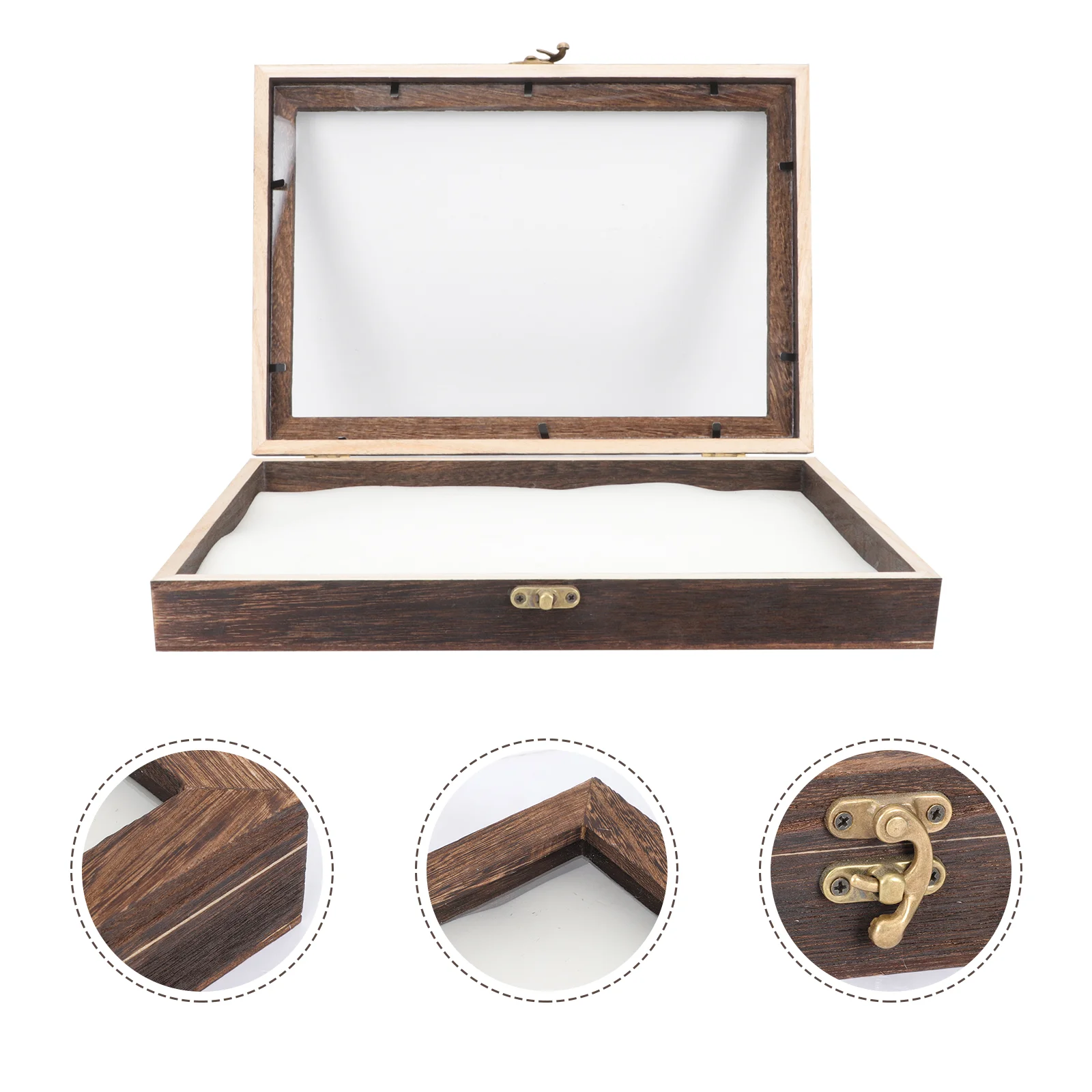 Vitrine Box Specimen Insect Frame Shadowwooden Hout Collectie Foto Photoexhibit Mot Beetle Bug Frames Medalclaspflower