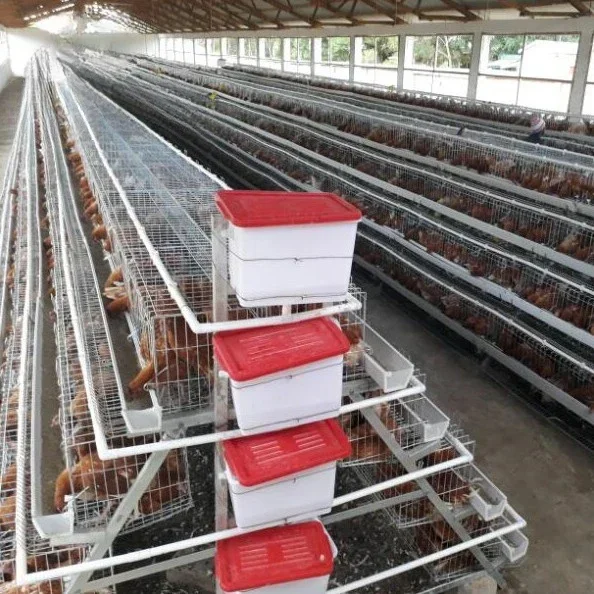 

2024 Hot Selling 96/120/128/160 Layer Egg Chicken Cage/ Poultry Farm House Design