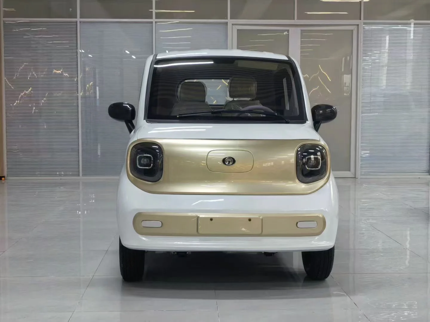 LTL 2026 New Style 4 Seat Convertible Mini EV High Quality 1000W 4-Wheel Hot Sale New Energy Vehicle 100-300km Range Elder