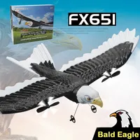 Flying Bear FX651 RC Eagle Fixed Wing Aircraft Bald Eagle Foam Glider Electric Model Airplane Toy for Kids