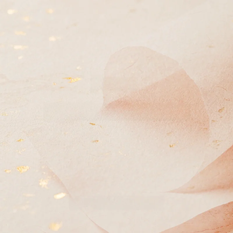 

Лимитированная коллекция пуховиков Jaet 2025: Теплое зимнее пальто для женщин, удобное для поездок на работу, из полиэфирного волокна, с длинными рукавами