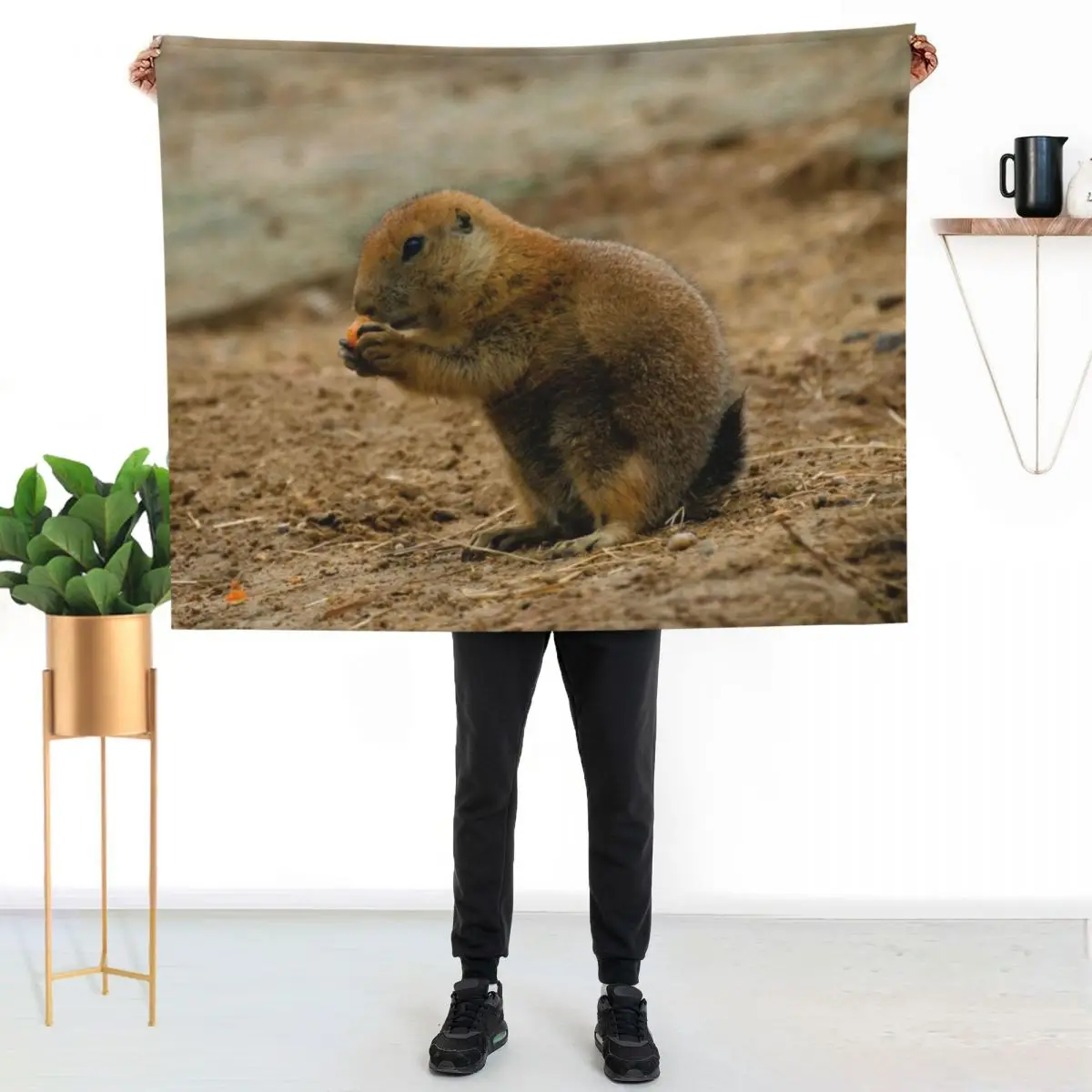 

Prairie dog eating a carrot Throw Blanket Stylish Couch Blanket for Home Living Room