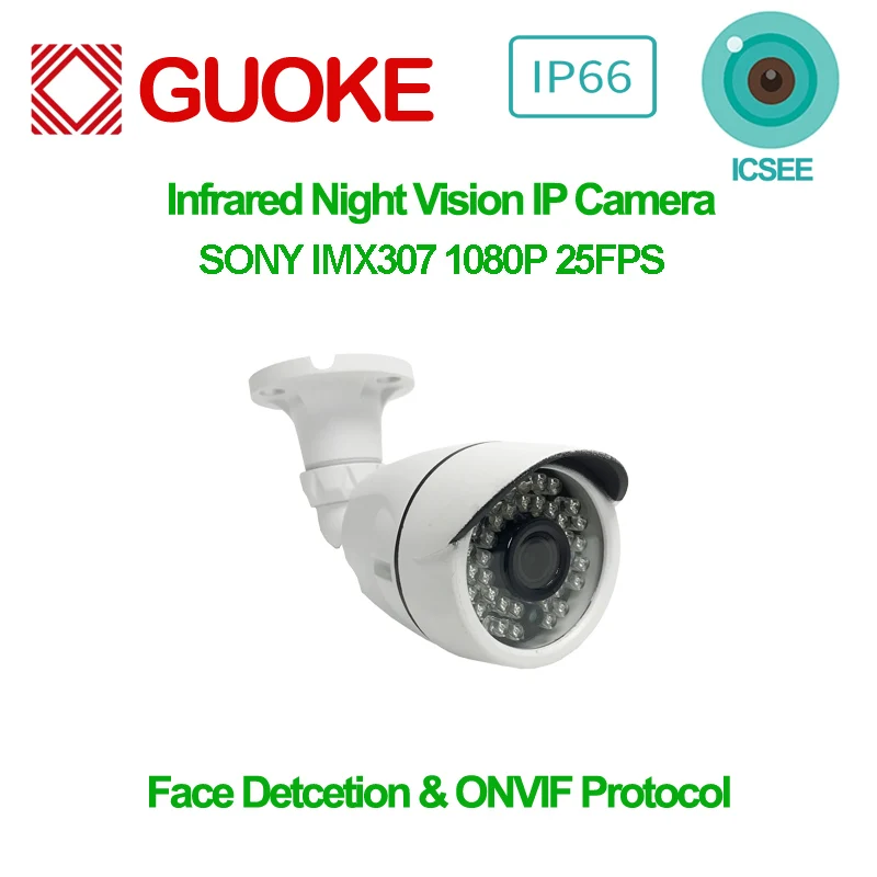 3MP Imx307 Webcam Icsee Face Detection Infrared Night Vision Remote Viewing 25Fps Rtsp Ip66 Waterproof Protection Security Cam