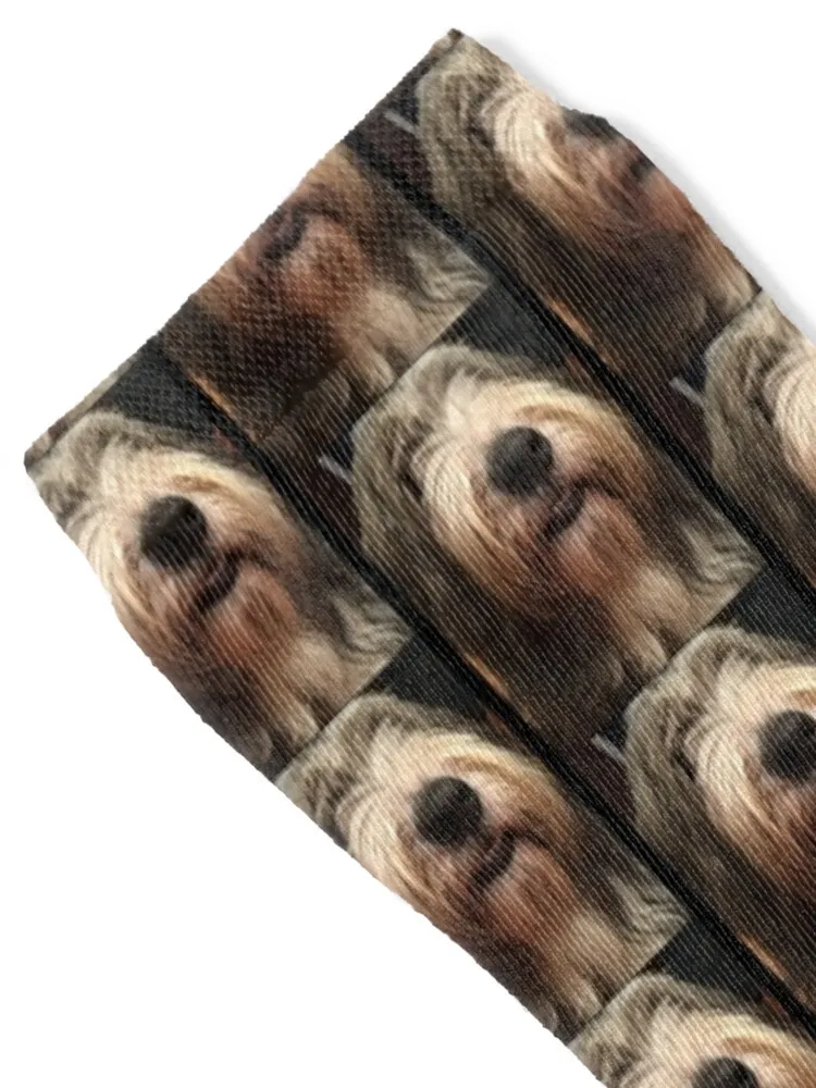 I Love Bearded Collies - Beardie Love Socks Antiskid soccer colored Girl'S Socks Men's