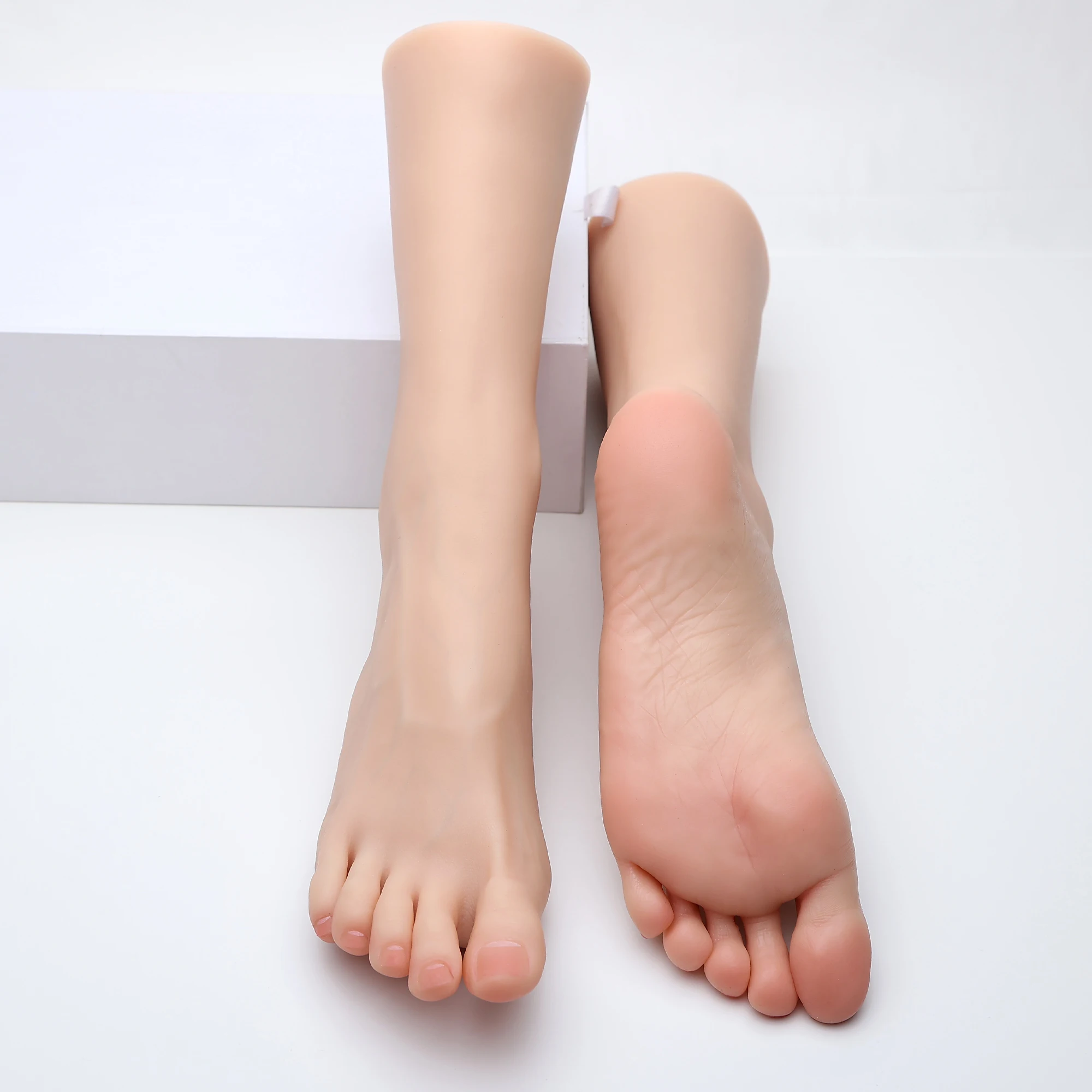 25cm Female Silicone Foot Model High Simulation Artificial Feet for Shooting Shoe Sock Display Props Sketch Foot ZISHINE TG4101