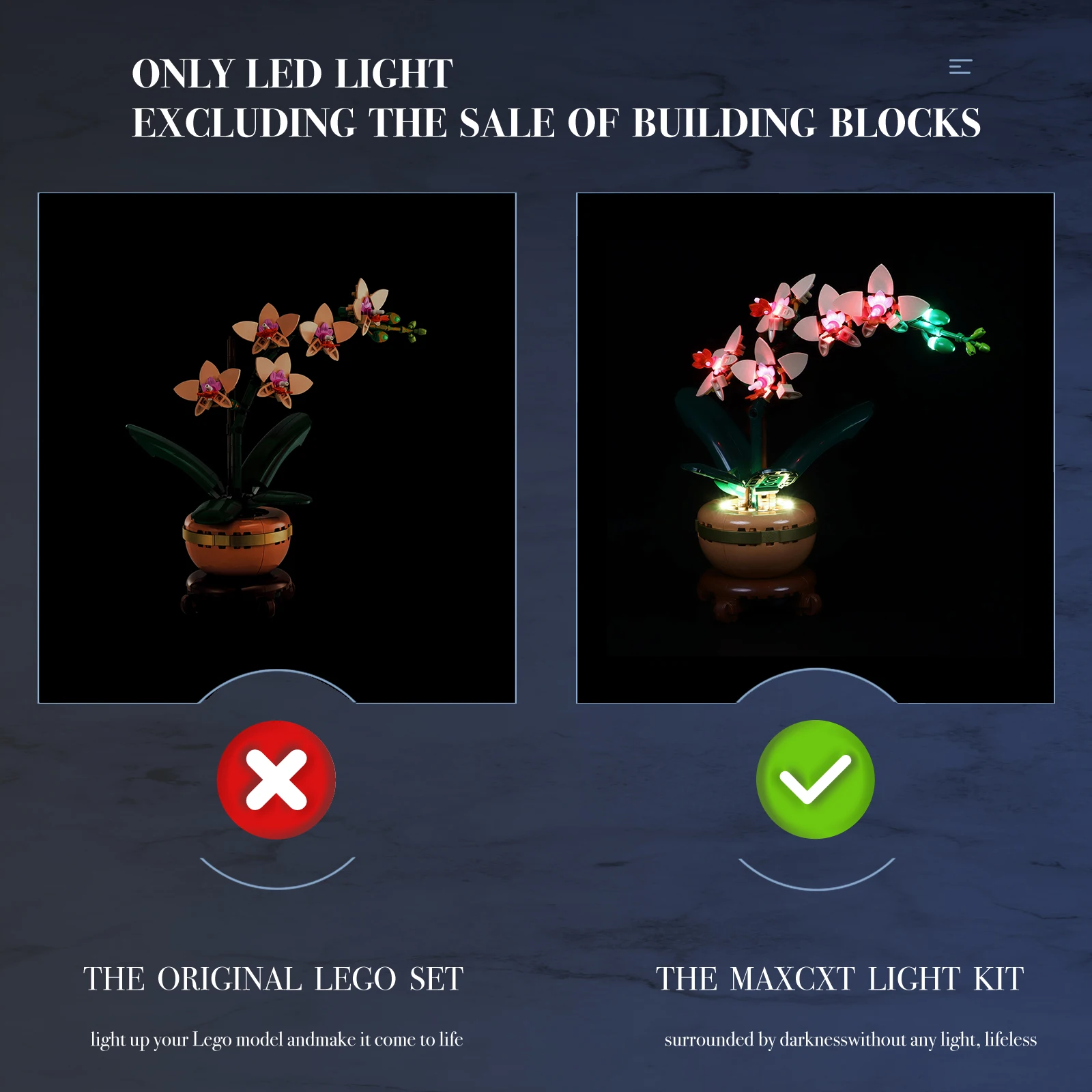 MAXCXT LED Light Set For LEGO 10343 Mini Orchid DIY Decorative Lamp With Battery Box (Not Include Lego Building Blocks Set ﻿）