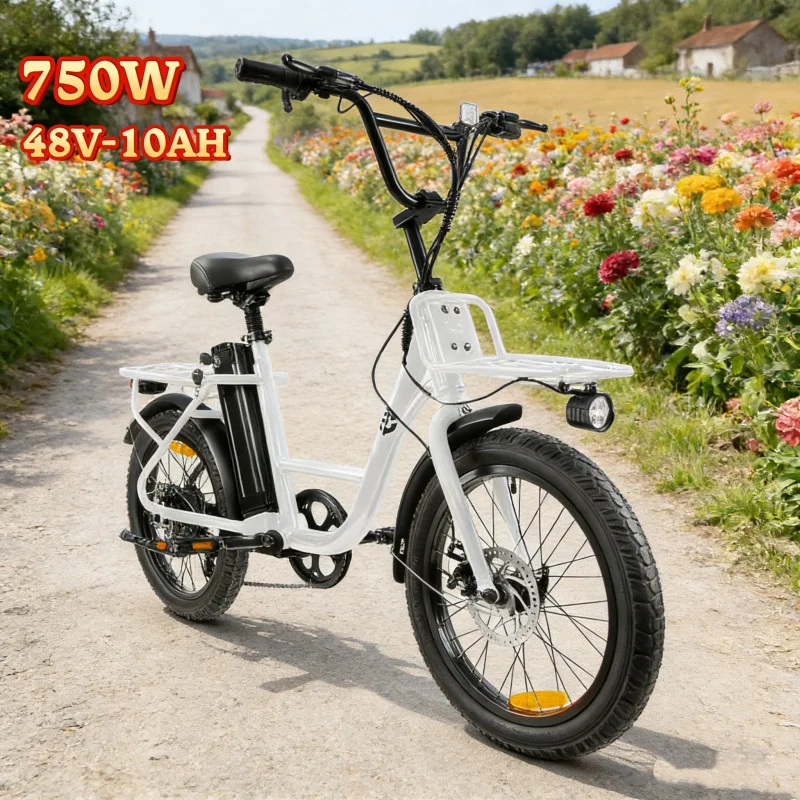 

Электрический велосипед мощностью 750 Вт, с аккумулятором 48 В 10 Ач, 20-дюймовыми шинами, для взрослых, подходит для поездок на работу и езды.