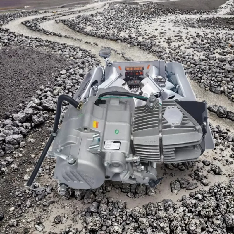 

Двигатель 125CC с включением питания и ручной муфтой с воздушным охлаждением для газовых мотоциклов для взрослых