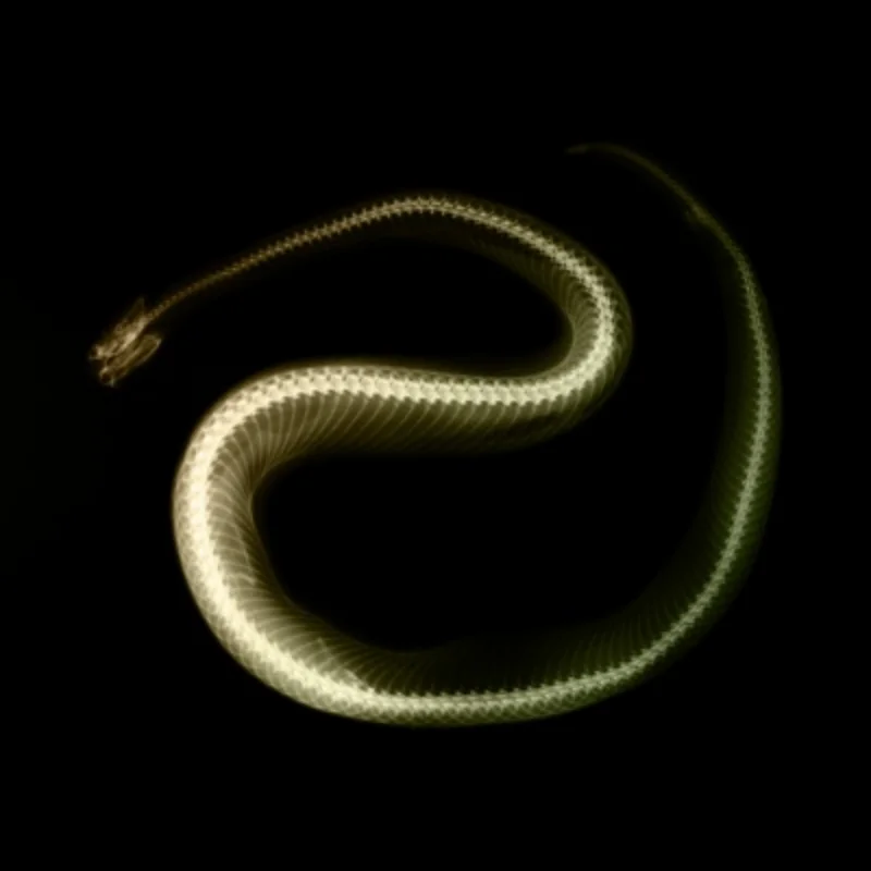 4PCS Rally 1,9 Metall Beadlock Radnabe Felge für 1/10 RC Crawler Axial SCX10 90046 AXI03007 Trxs TRX4 RC4WD D90