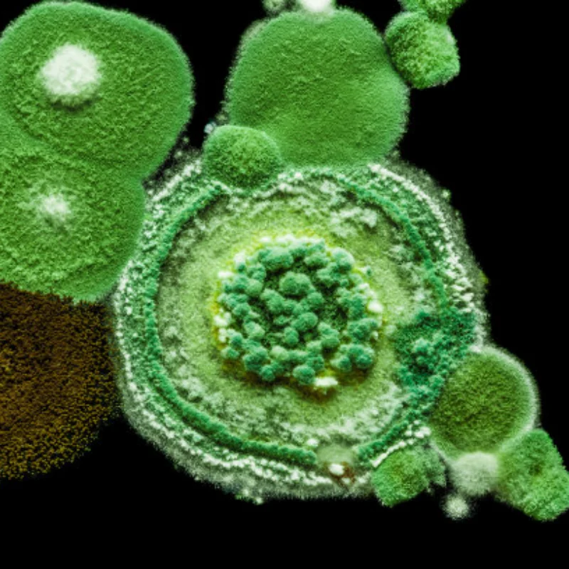 

VX 18CXP Vertex 18 Engine Nitro Power 2.74cc With Pull Starter Spark-plug 02060 for 1/10 1/8 RC Model Car Buggy HSP Himoto