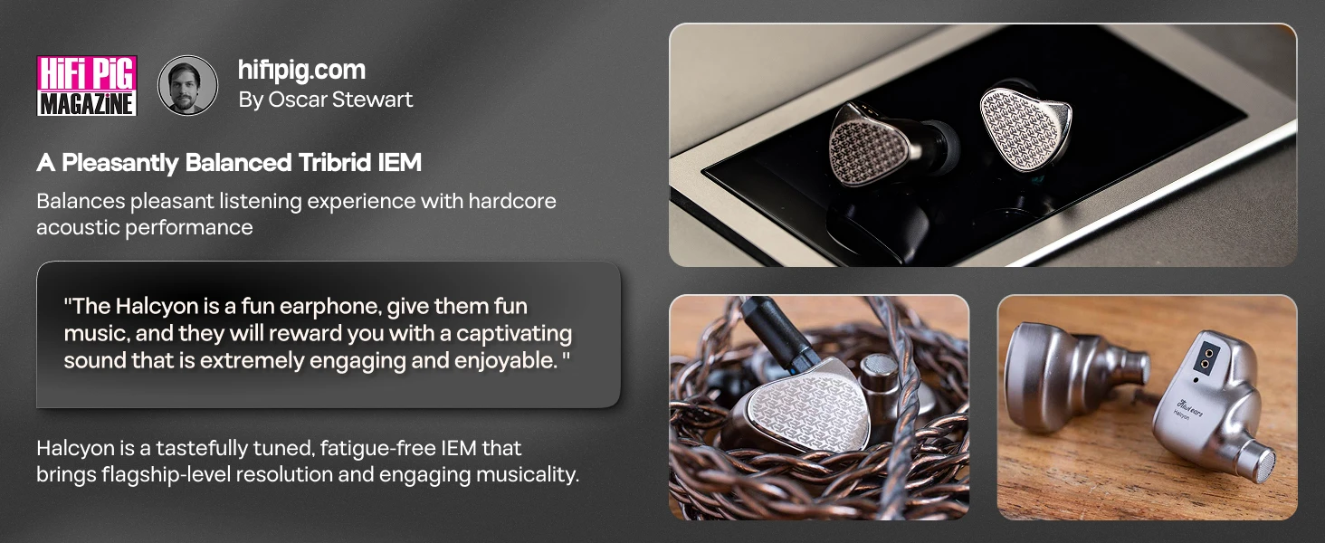 Linsoul Kiwi Ears Halcyon Weltweit erste MEMS + 1DD + 3BA Tribrid IEM-Ohrhörer mit Gaming-Boom-Mikrofon – Detail 11