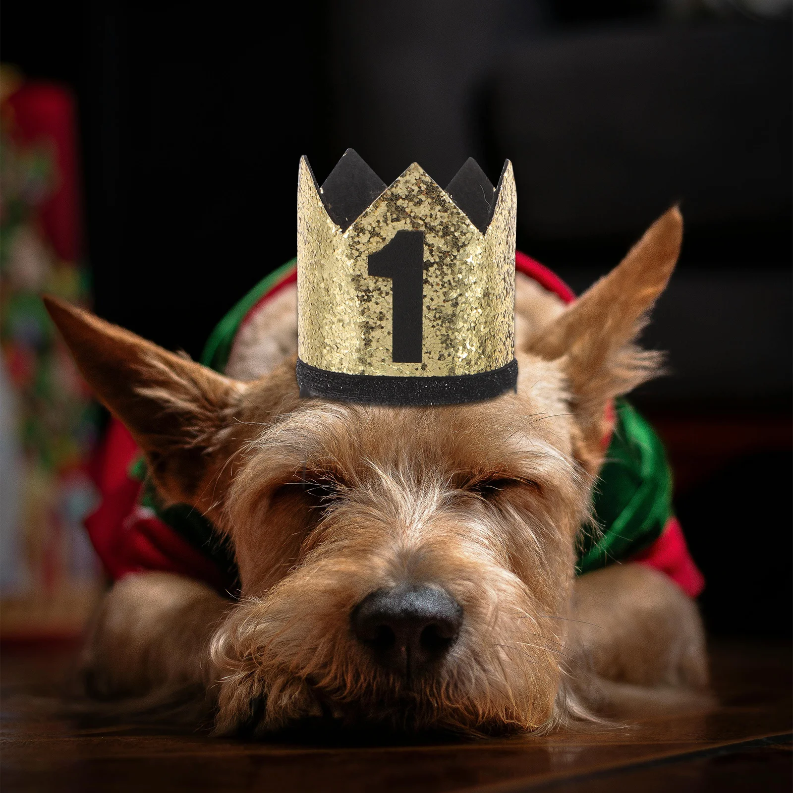 ペットの誕生日帽子 犬 猫 - 小さなペットの誕生日パーティーの装飾用のスタイリッシュなクラウンヘッドウェア 快適で制限のない犬のパーティー