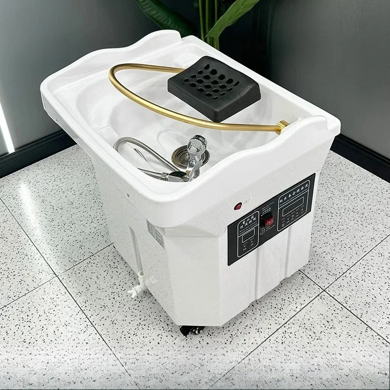 Kursi Salon Minimalis Elektrik Pintar Pijat Profesional Spa Rambut Stretcher Kosmetolog Bak Mandi Mobile Tempat Tidur Perawat Interior