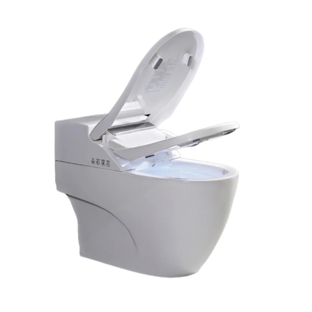 Usa Intelligent Spares Public Auto Smart Toilet For Old People Disabled