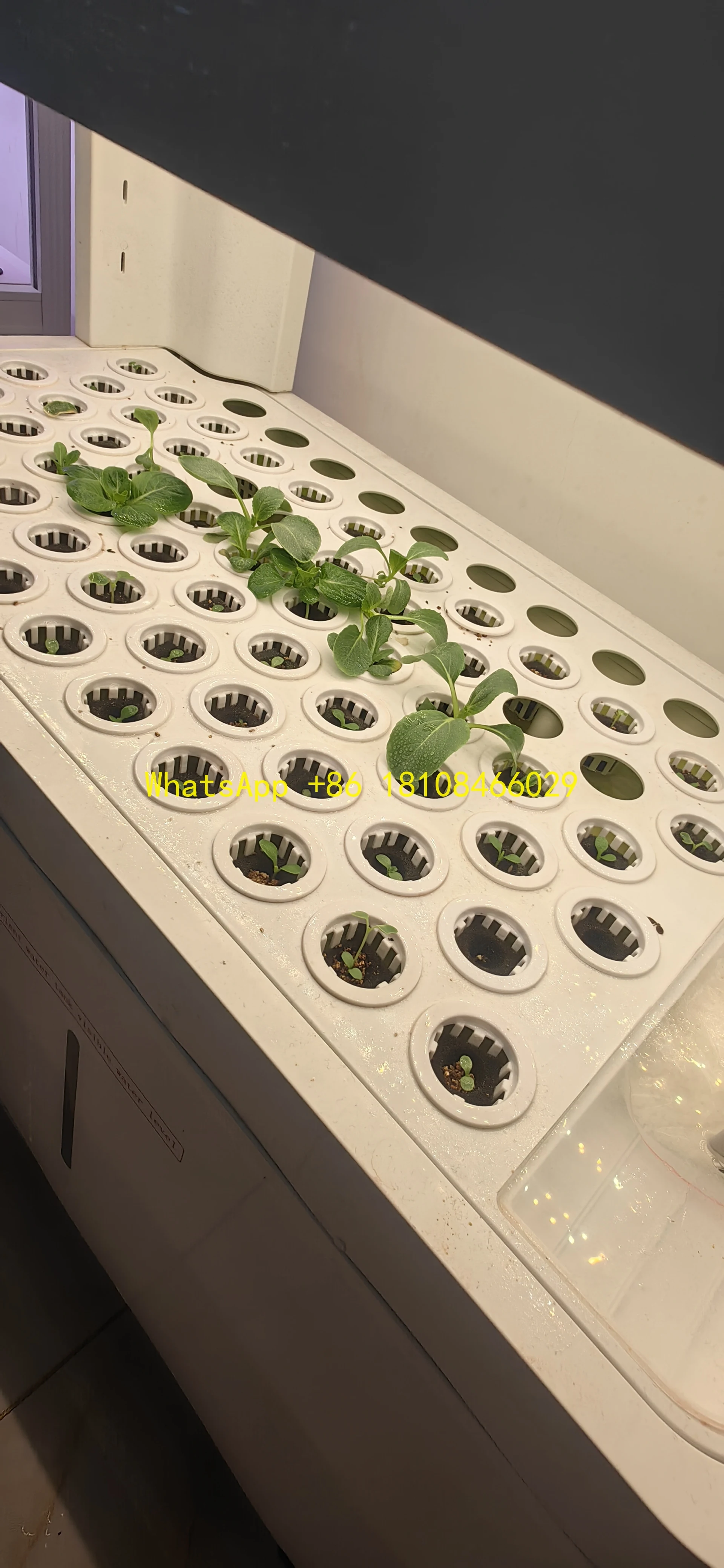 

e Soilless Balcony Rack Irrigation for Farm Intelligent Vertical Indoor Multi-Layer Hydroponic Vegetable Planting Machin