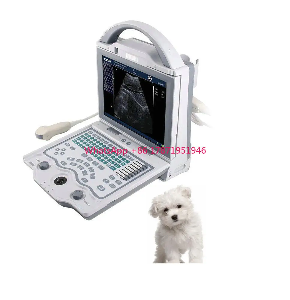 

Laptop dog ultrasound scanner machine for pets dog ultrasound machine with probe portable goat ultrasound equipment