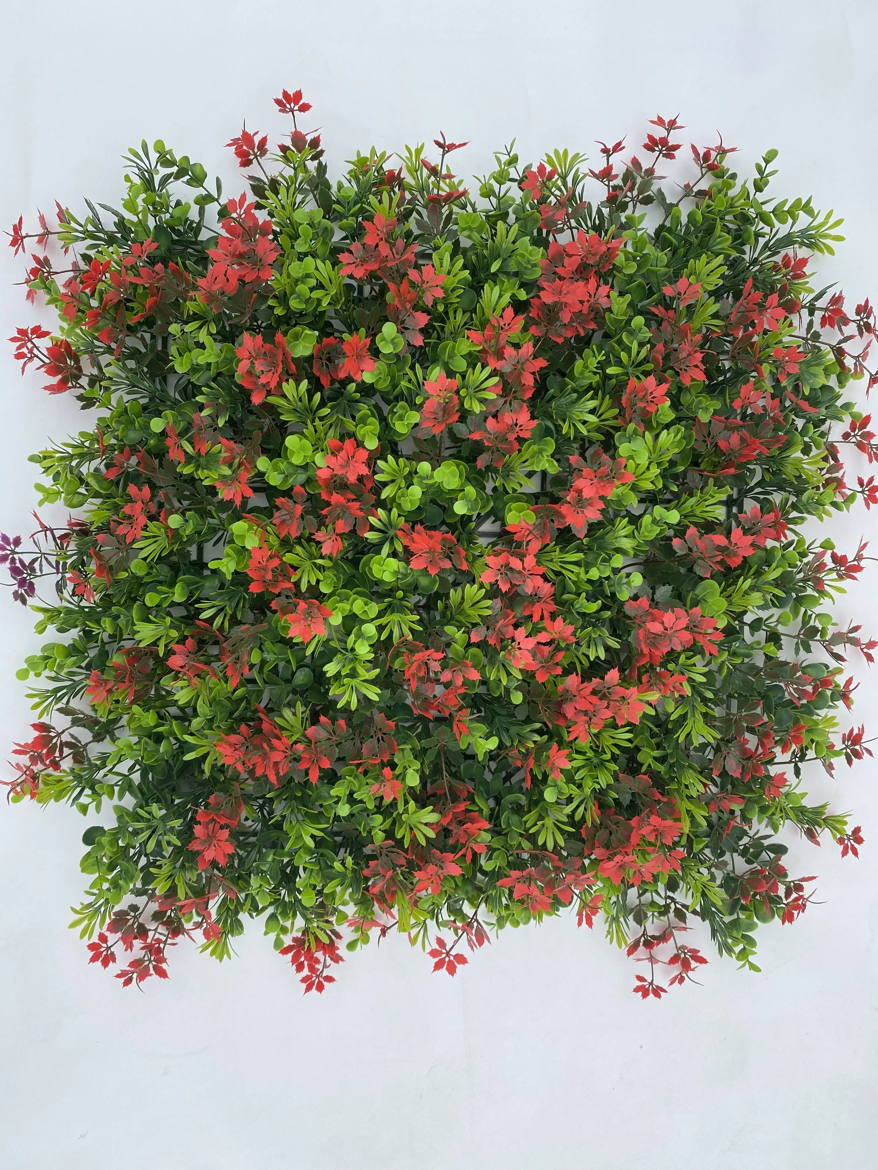 

Indoor Artificial Clear Plastic Panel Plant Wall 50x50 Climbing Plants Blanket Backyard Greenery Walls Custom Made Foliage