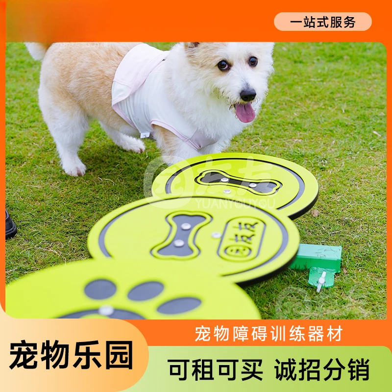 Outdoor Pet Park Amusement Equipment Facilities Dog Training Drilling Toys Dog Agility Up and Down Obstacle Training Equipment