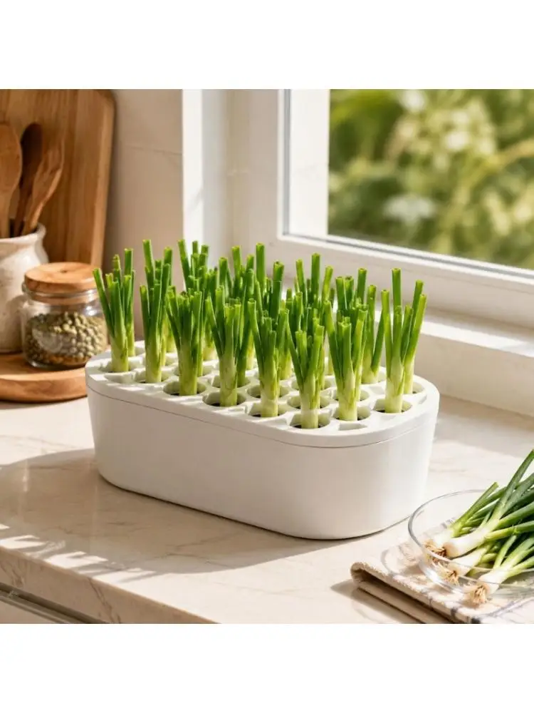 652F White Herb Start Box for Green Onion and Garlic, Indoor Water Garden Tray for Kitchen, Office or Dorm Counter Growing, 2