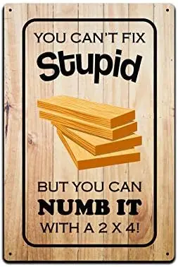 JP's Parcels Tin Sign Man Cave Décor - Metal Signs 12 x 8 in. You Can't Fix Stupid But You Can Numb it with a 2 x 4