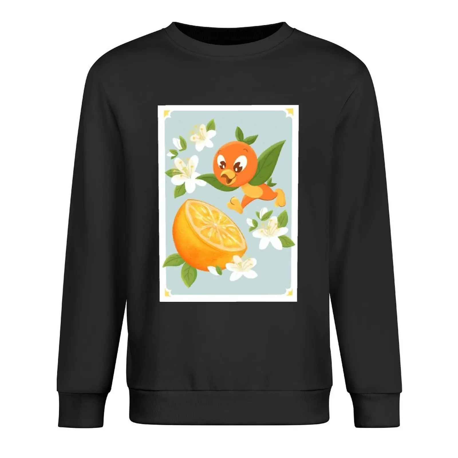 

Citrus Orange Bird Pullover autumn winter clothes men's clothing men's sweat-shirt set hooded sweatshirt