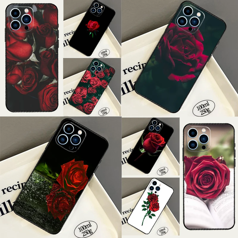 Red Rose For Samsun…