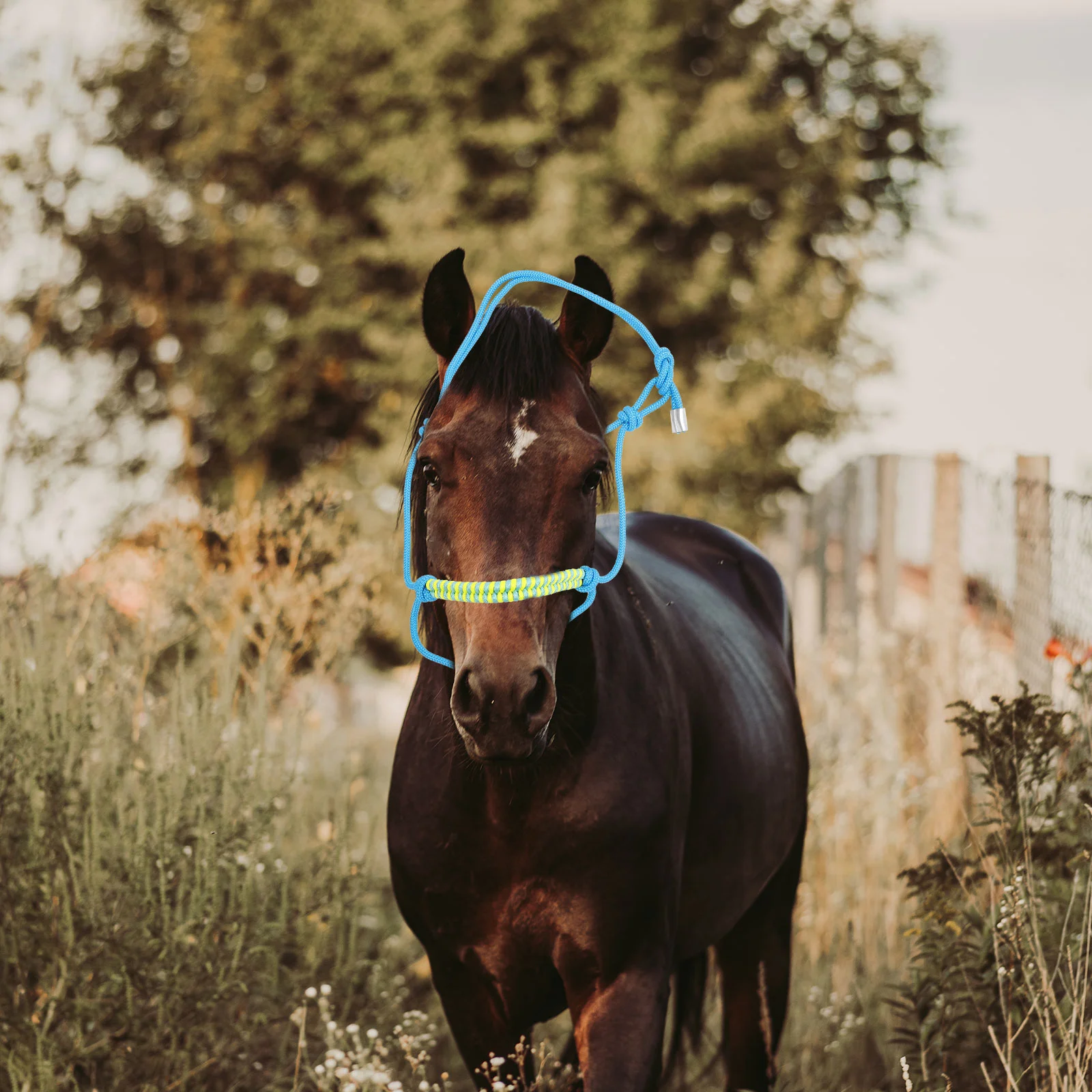 Cabestro de cabeza de caballo trenzado con cuerda multinudo ajustable para equipos, caballos, soporte de puentes totalmente portátil