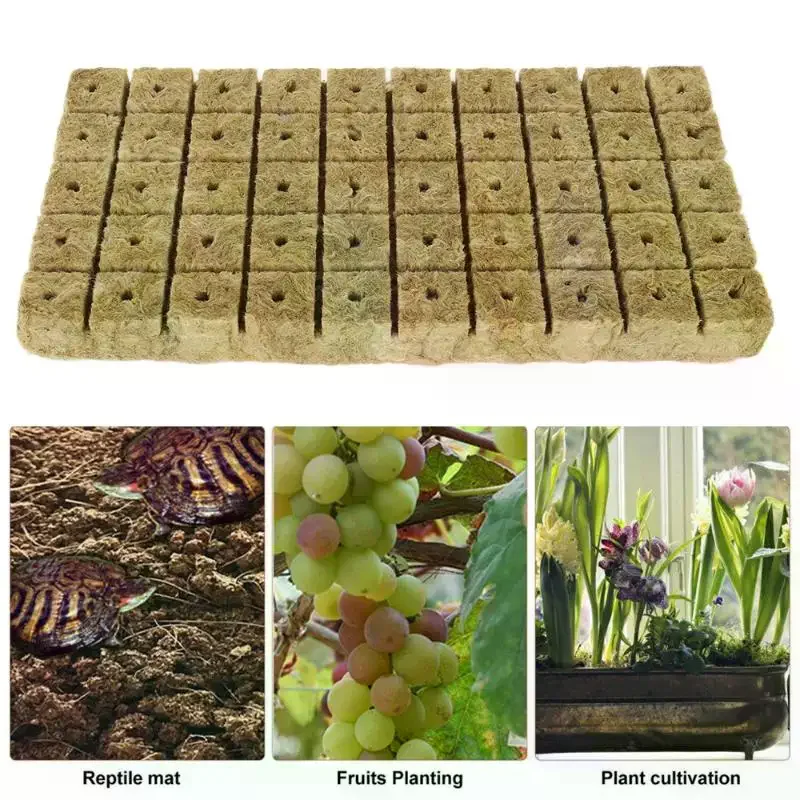 Cubetti di Lana di Roccia per - Plant Growth Regulator recensione e prezzo