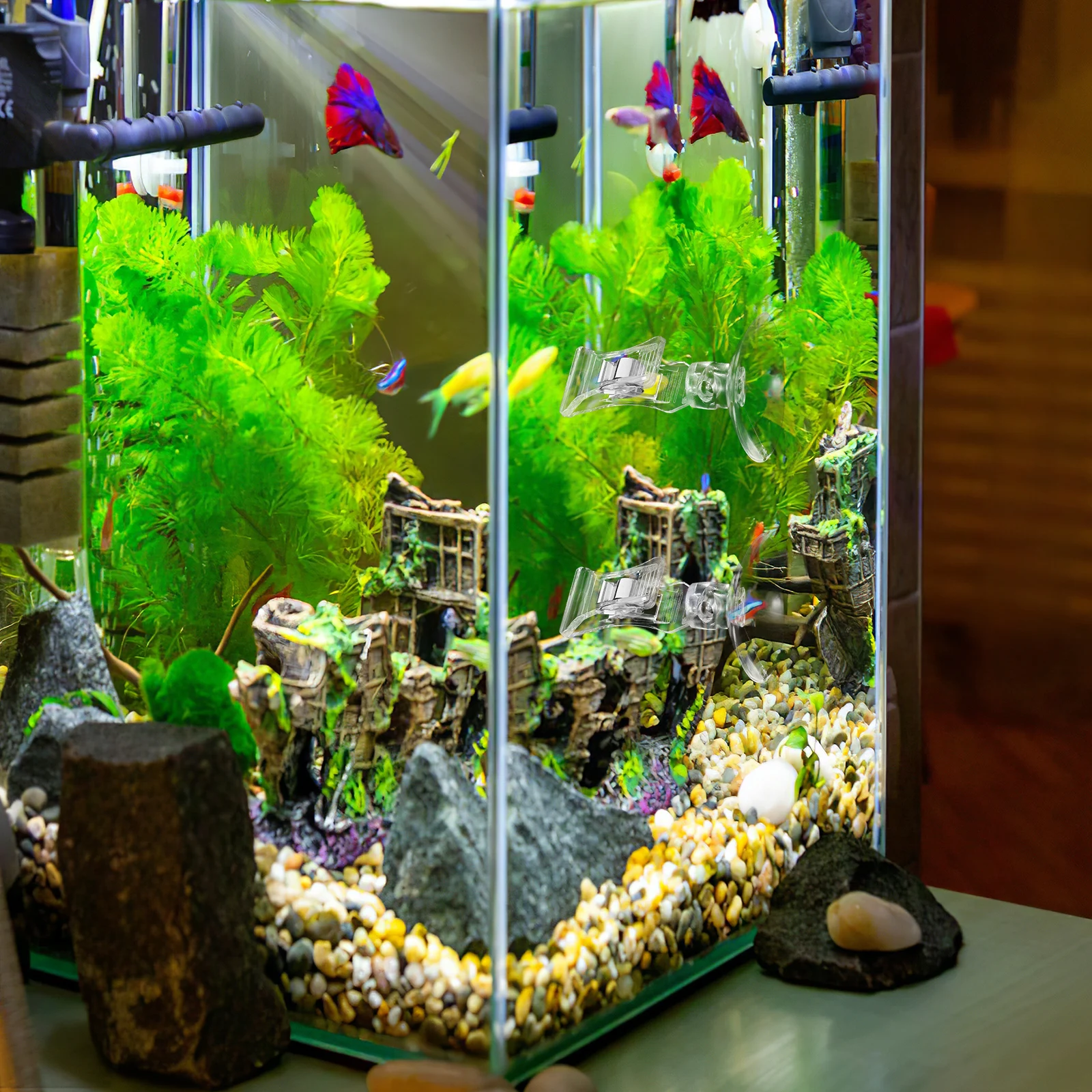 

3Pcs Fish Feeding Clips Seaweed Suction Cup Holders Aquarium Accessories Fish Tank Feeding Tool for Natural Reef Environment