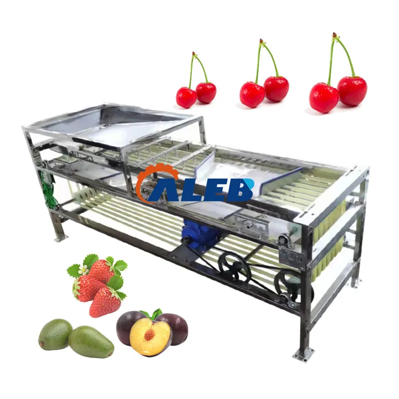 

New Type Picking Machine Blueberry Sorting Size Grading Size Machine Stainless Steel Grader Sorter Machine