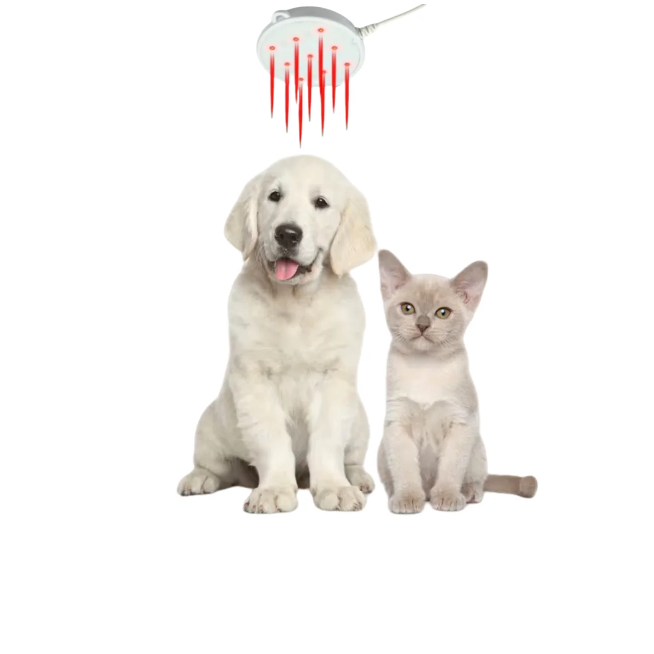 Portable Mini Veterinary Cold Laser Therapy Device for Dogs Cats Pets Pain and Inflammation